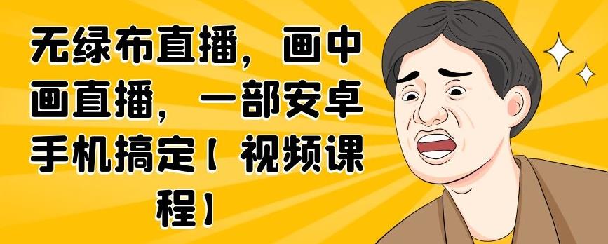 无绿布直播，画中画直播，一部安卓手机搞定【视频课程】-91搞钱