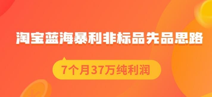 盗坤淘宝蓝海暴利非标品先品思路，7个月37万纯利润，压箱干货分享！【付费文章】-91搞钱