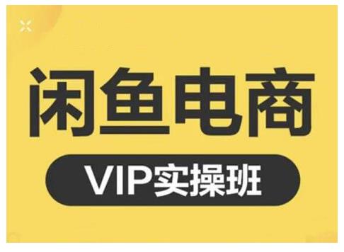 闲鱼电商零基础入门到进阶VIP实战课程，帮助你掌握闲鱼电商所需的各项技能-91搞钱