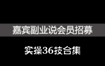 嘉宾副业说实操36技合集，价值1380元-91搞钱