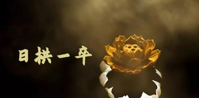 无脑搬砖，普通人可以复制的副业赚钱项目(附软件)-91搞钱