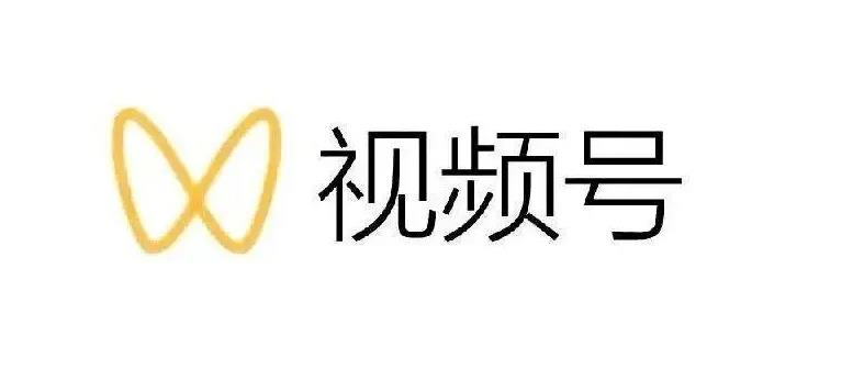 最新视频号解读，视频号真相+变现玩法【视频课程】-91搞钱