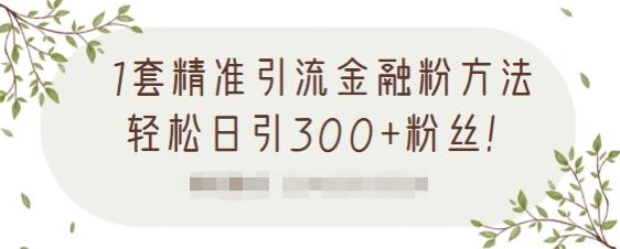 1套精准引流金融粉方法，轻松日引300+粉丝【视频课程】-91搞钱