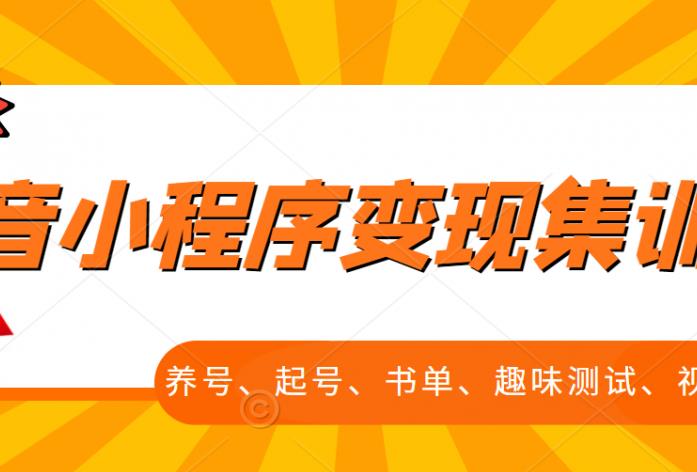 抖音小程序变现集训课，养号、起号、书单、趣味测试、视频剪辑，全套流程-91搞钱