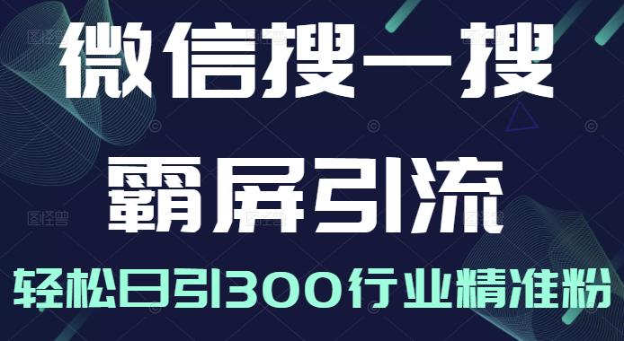 微信搜一搜霸屏引流课，打造被动精准引流系统，轻松日引300行业精准粉【无水印】-91搞钱