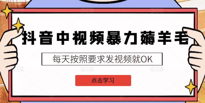2022抖音中视频暴力薅羊毛白嫖项目：新号每天20块，老号几天几百块，可多号-91搞钱