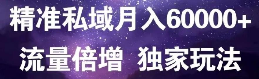 原力网赚精准私域月入60000+,流量倍增独家玩法-91搞钱