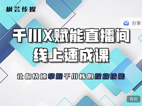 枫芸传媒-线上千川提升课，提升千川认知，提升千川投放效果-91搞钱
