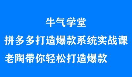 牛气学堂拼多多打造爆款系统实战课，老陶带你轻松打造爆款-91搞钱