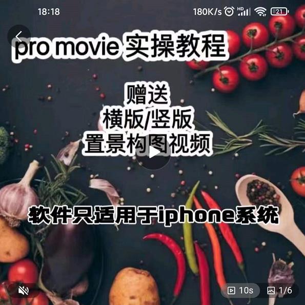 漆十二美食摄影，25​节promovie实操高手课节-91搞钱