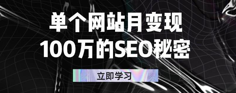 单个网站月变现100万的SEO秘密，百分百做出赚钱站点-91搞钱
