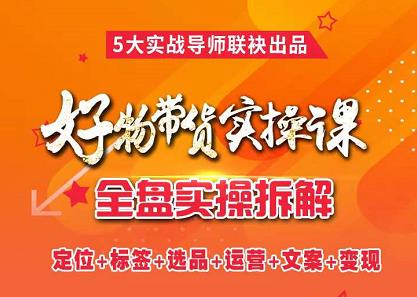 抖音好物带货实操课，全盘拆解抖音好物带货号全套流程打法-91搞钱
