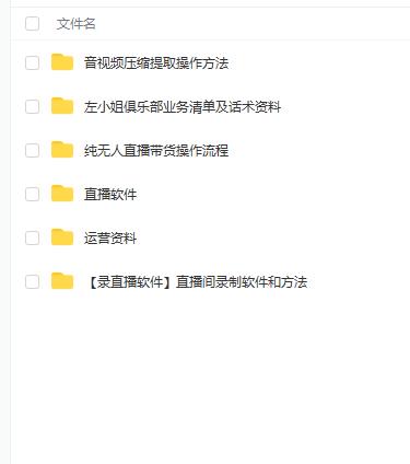 左小姐-直播带货俱乐部十三行、无人直播，全套教程附：工具、文档、话术资料-91搞钱