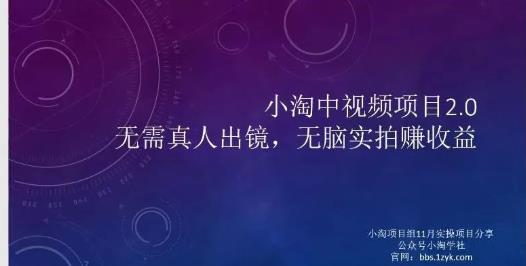 小淘项目组网赚永久会员，绝对是具有实操价值的，适合有项目做需要流程【持续更新】-91搞钱