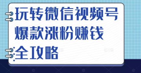 玩转微信视频号爆款涨粉赚钱全攻略，让你快速抓住流量风口，收获红利财富-91搞钱
