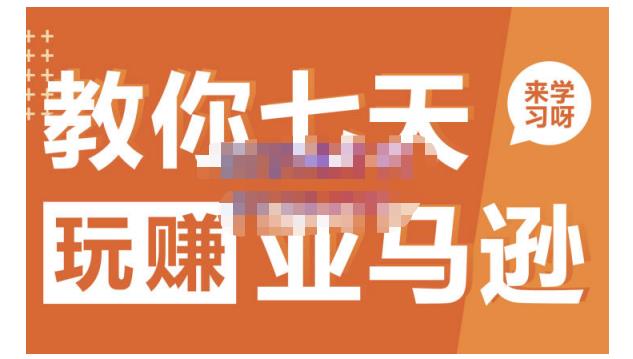 晟尧跨境·教你七天玩赚亚马逊，教你轻松玩赚亚马逊，适合小白学习-91搞钱