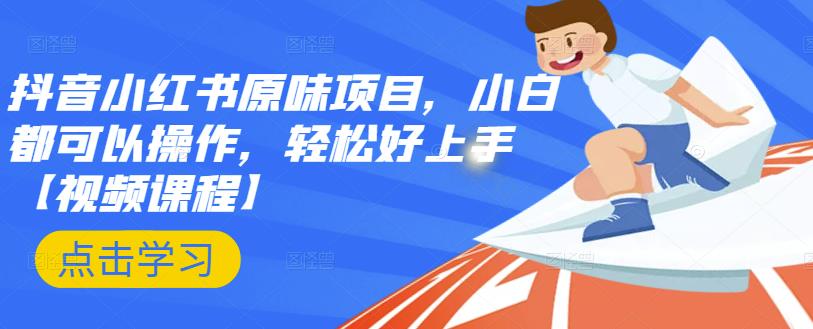 抖音小红书原味项目，小白都可以操作，轻松好上手【视频课程】-91搞钱