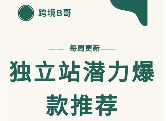 【跨境B哥】独立站潜力爆款选品推荐，测款出单率高达百分之80（每周更新）-91搞钱