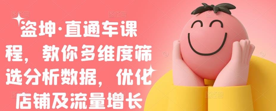 盗坤·直通车课程，教你多维度筛选分析数据，优化店铺及流量增长-91搞钱
