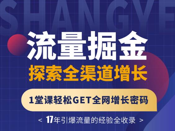 张琦流量掘金探索全渠道增长，1堂课轻松GET全网增长密码-91搞钱