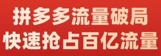 阿杰·拼多多流量破局:如何打黑标，爆款的思路，拼多多流量框架，快速抢占百亿流量-91搞钱