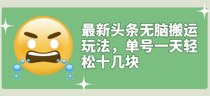 最新头条无脑搬运玩法，单号一天轻松十几块【视频教程+搬运软件】-91搞钱