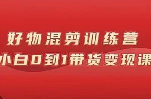 万三好物混剪训练营：小白0到1带货变现课-91搞钱
