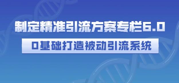 制定精准引流方案专栏6.0，0基础打造被动引流系统-91搞钱