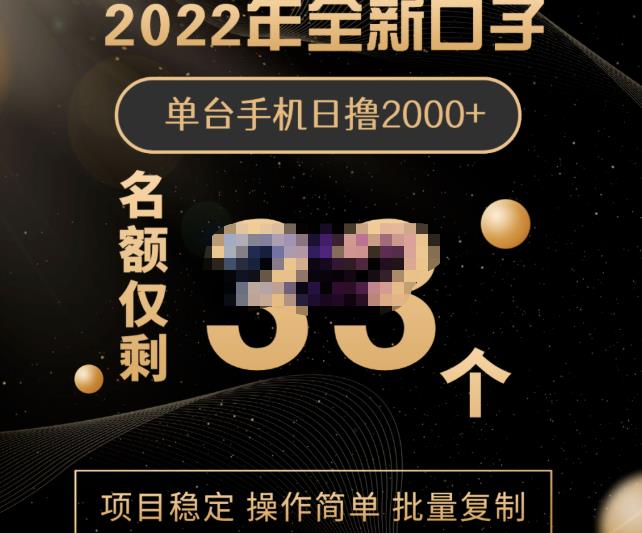2022年全新口子，手机批量搬砖玩法，一部手机日撸2000+-91搞钱