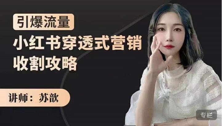 小红书穿透式营销收割攻略，引爆流量，助你玩转小红书-91搞钱