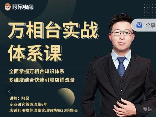 阿呆-万相台实战体系课，帮您全面掌握万相台知识体系-91搞钱