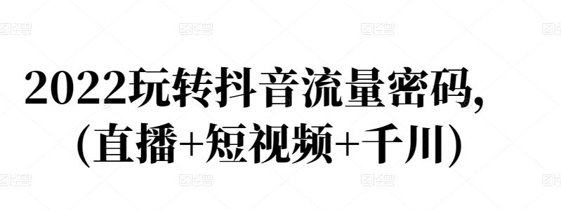 2022玩转抖音流量密码，(直播+短视频+千川)-91搞钱