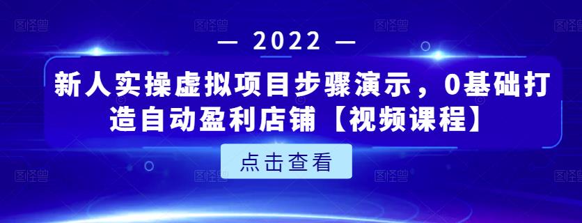 新人实操虚拟项目步骤演示，0基础打造自动盈利店铺【视频课程】-91搞钱
