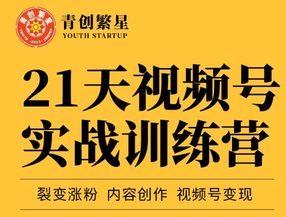 张萌21天视频号实战训练营，裂变涨粉、内容创作、视频号变现 价值298元-91搞钱