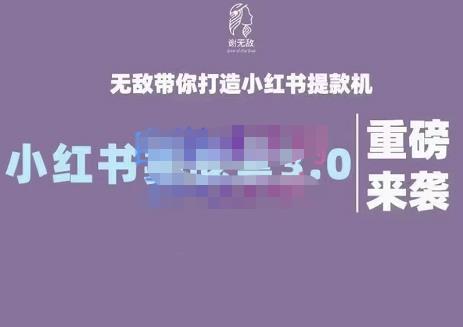 谢无敌·小红书实战营3.0，无敌带你打造小红书提款机 价值7999元-91搞钱