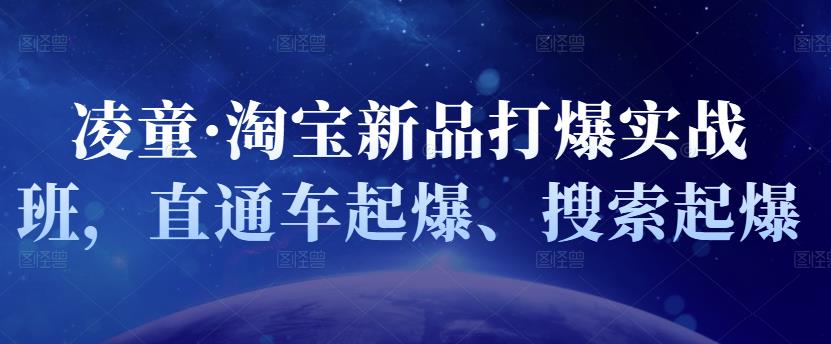 凌童·淘宝新品打爆实战班，直通车起爆、搜索起爆-91搞钱