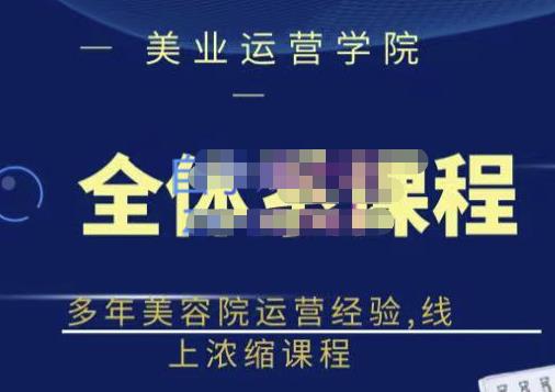 网红美容院全套营销落地课程，多年美容院运营经验，线上浓缩课程-91搞钱