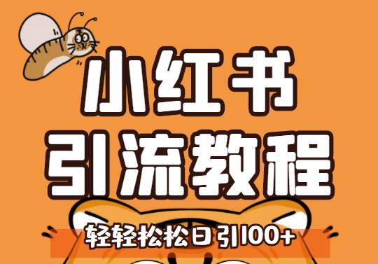 小红书运营引流全系列课程，每天引流100精准粉-91搞钱