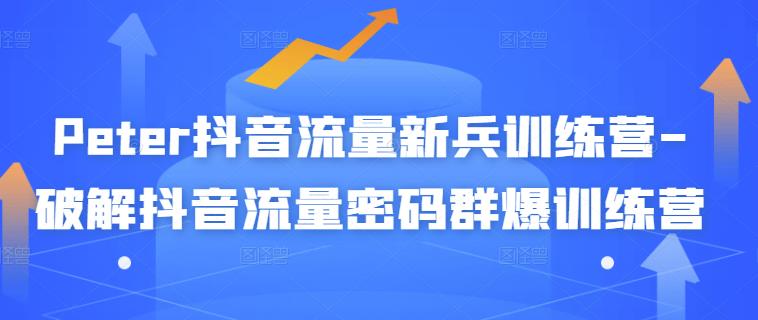 Peter抖音流量新兵训练营-破解抖音流量密码群爆训练营（新兵）-91搞钱