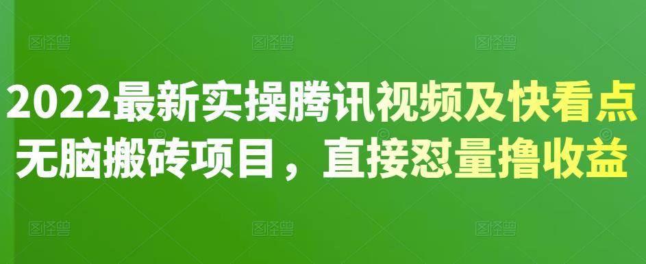 2022最新实操腾讯视频及快看点无脑搬砖项目，直接怼量撸收益-91搞钱