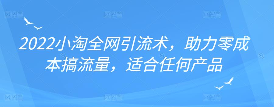 2022年小淘全网引流术，助力零成本搞流量，适合任何产品-91搞钱