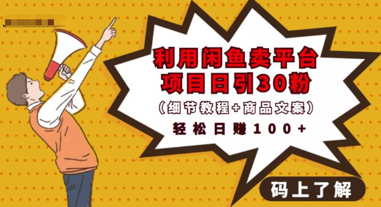 利用闲鱼卖平台项目课程资源日引流30+精准粉丝，轻松日赚100+，积累人脉可实现二次变现（细节教程+商品文案）-91搞钱