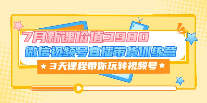 微信视频号直播带货训练营，3天课程带你玩转视频号：7月新课价值3980-91搞钱