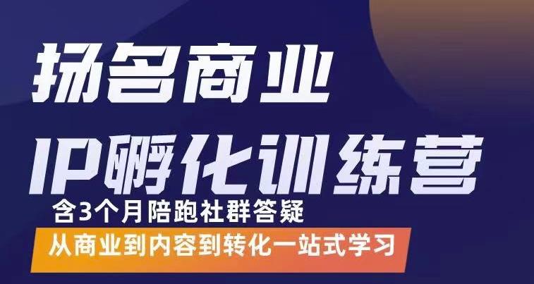 杨名商业IP孵化训练营，从商业到内容到转化一站式学 价值5980元-91搞钱
