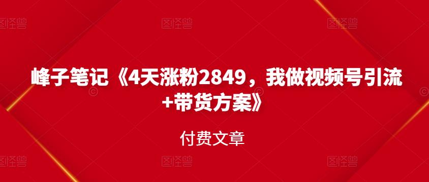 峰子笔记《4天涨粉2849，我做视频号引流+带货方案》付费文章-91搞钱