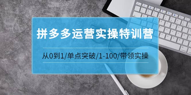 拼多多运营实操特训营：从0到1/单点突破/1-100/带领实操 价值2980元-91搞钱