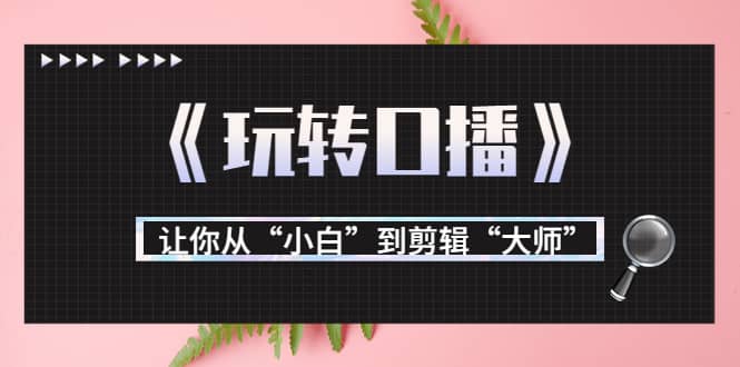 月营业额700万+大佬教您《玩转口播》让你从“小白”到剪辑“大师”-91搞钱
