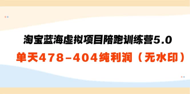 淘宝蓝海虚拟项目陪跑训练营5.0：单天478纯利润（无水印）-91搞钱