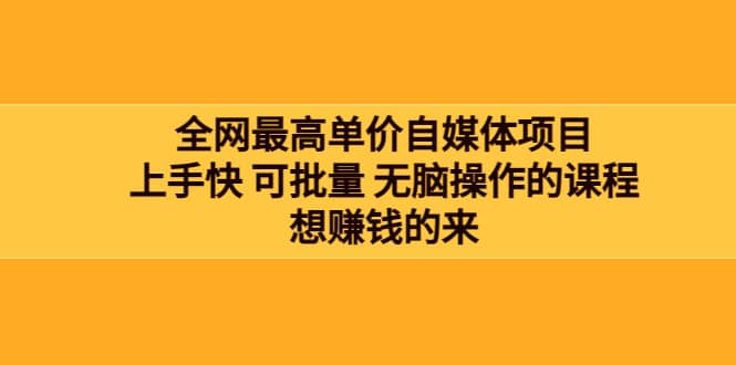全网最单高价自媒体项目：上手快 可批量 无脑操作的课程，想赚钱的来-91搞钱