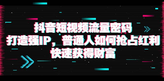 抖音短视频流量密码：打造强IP，普通人如何抢占红利，快速获得财富-91搞钱